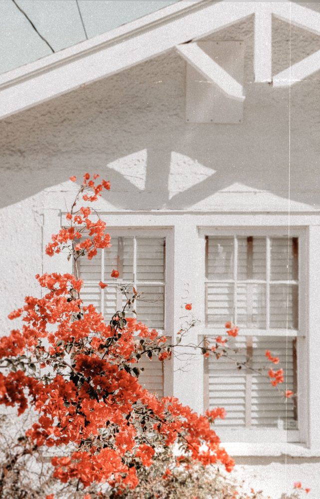 Custom Window Treatment